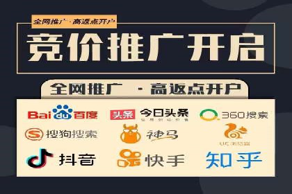 案例研究：SEM开户助力电商快速崛起